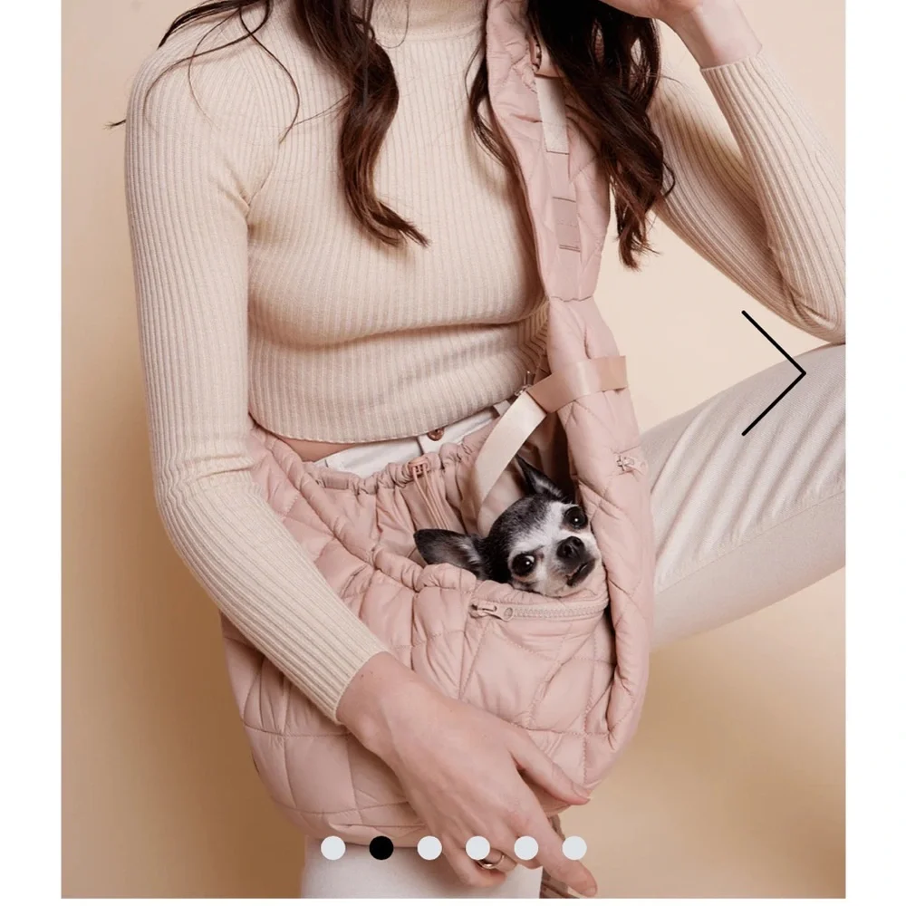 COPY - Maxbone dog carrier